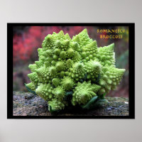 Romanesco Broccoli Vegetable