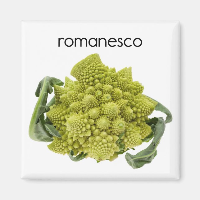 Romanesco Refrigerator Magnet (Front)