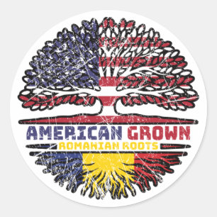 Romania Romanian US American USA United States Classic Round Sticker