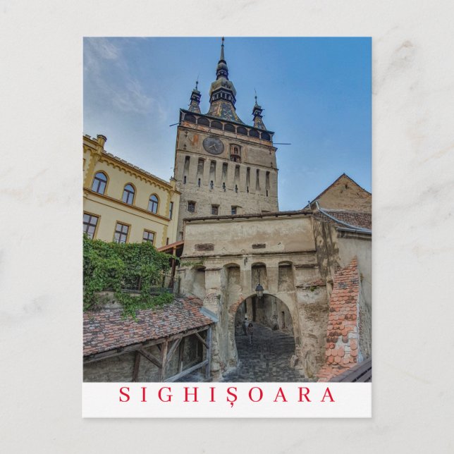 Romania Sighisoara Clock Tower view postcard (Front)