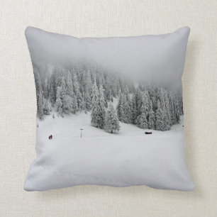 Romania, Winter sports in Piana Brasov, snow Cushion