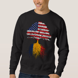 Romanian American Roots US Romania Flag Shirt Men