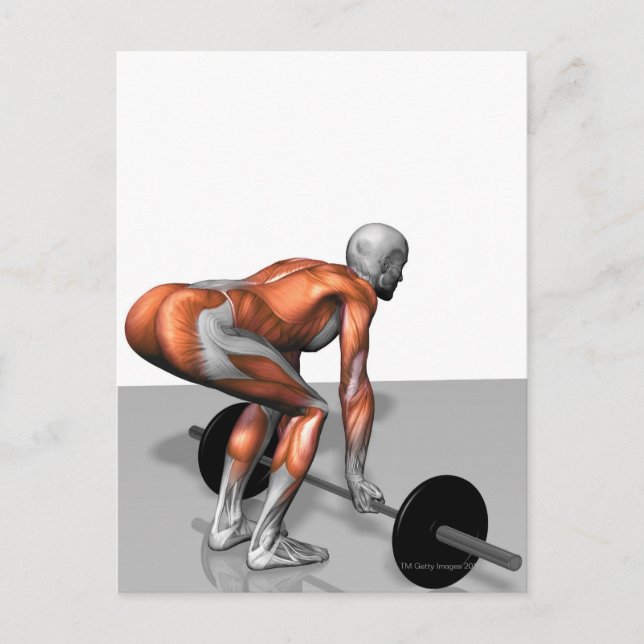 Romanian Deadlift 2 Postcard (Front)