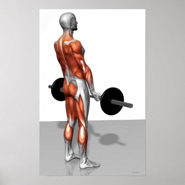 Romanian Deadlift Poster (Front)