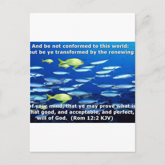 Romans 12:2 postcard (Front)