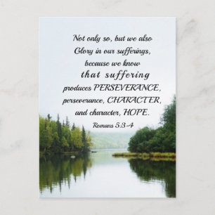 Romans 5:3-4 We Glory in our Sufferings Lake Trees Postcard