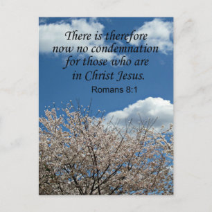 Romans 8:1 There is therefore now no condemnation Postcard