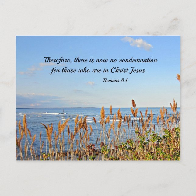 Romans 8:1 Therefore, there is now no condemnation Postcard (Front)