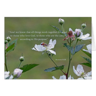 Romans 8:28