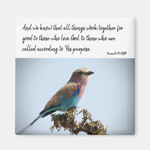 Romans 8:28 (KJV) Magnet