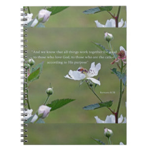 Romans 8:28 notebook