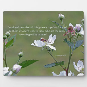 Romans 8:28 plaque