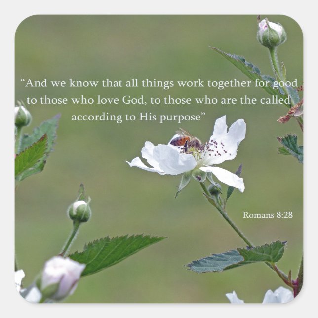Romans 8:28 square sticker (Front)