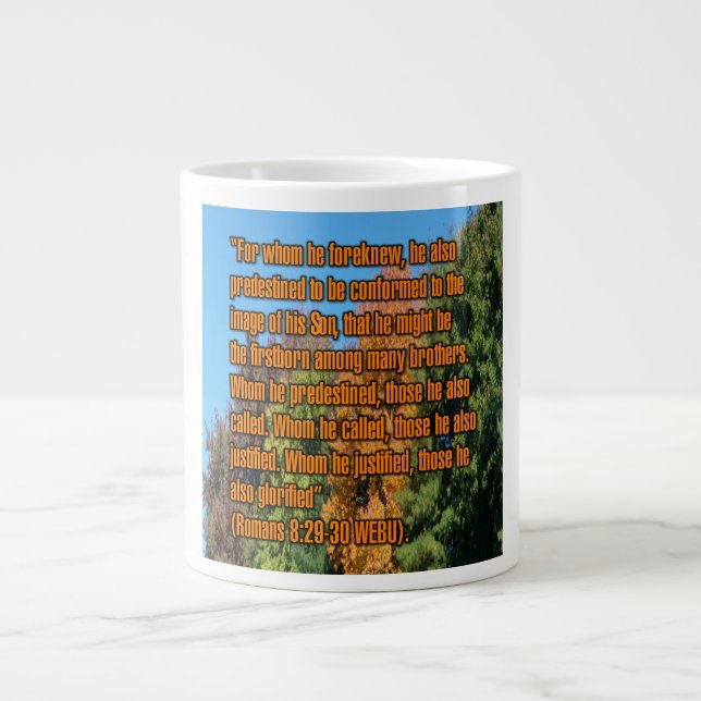 Romans 8:29-30 WEBU Mug (Front)
