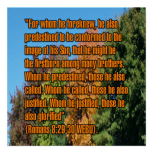 Romans 8:29-30 WEBU Poster