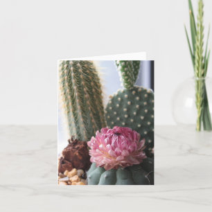 Romans 8:37 Cactus Card