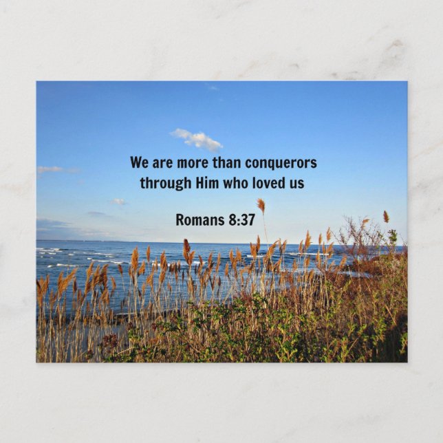 Romans 8:37 postcard (Front)
