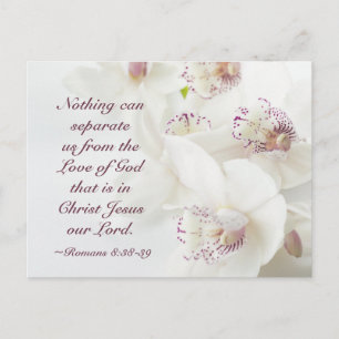 Romans 8:38-39 Love of God Valentine's Day Postcard