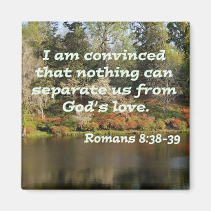 Romans 8:38-39 magnet