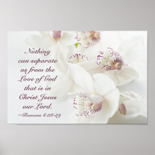 Romans 8:39 Love of God Bible White Orchids Poster