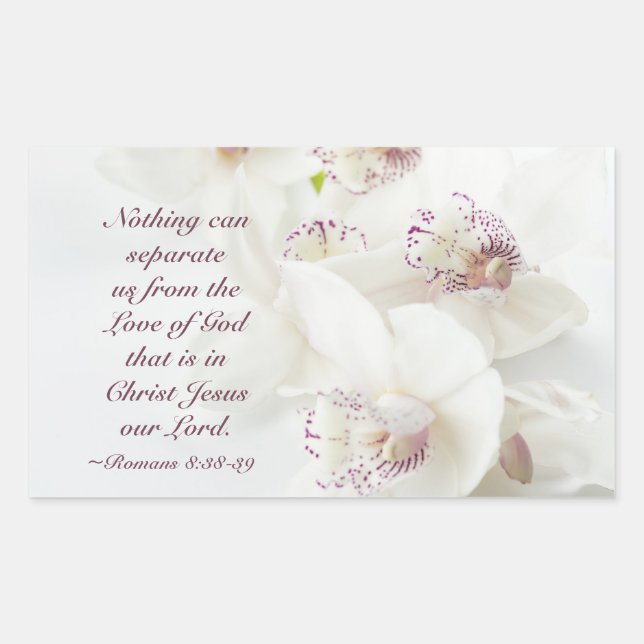 Romans 8:39 Love of God Bible White Orchids Rectangular Sticker (Front)