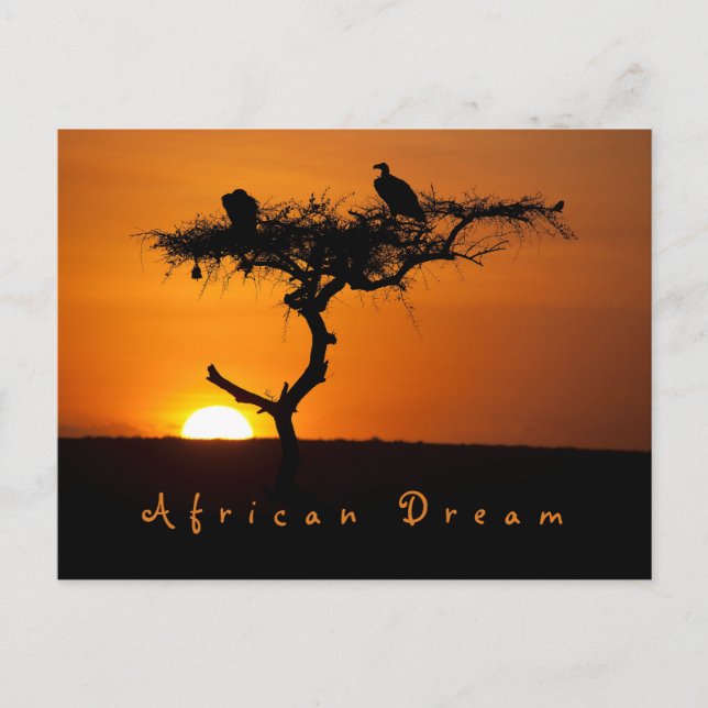 Romantic African Dream sunset photo with text Postcard (Front)