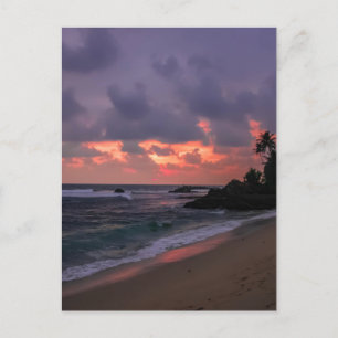 Romantic Beach at Dusk Postcard