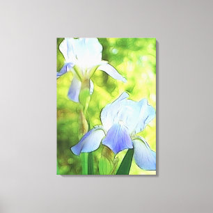 Romantic Blue Irises Canvas Print