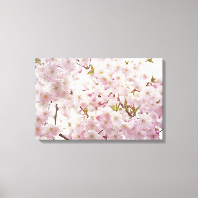 Romantic Cherry Blossoms and Little Bee Canvas Print (Front)
