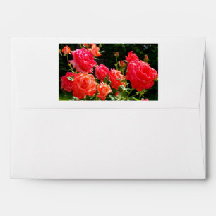 Romantic Coral roses Envelopes