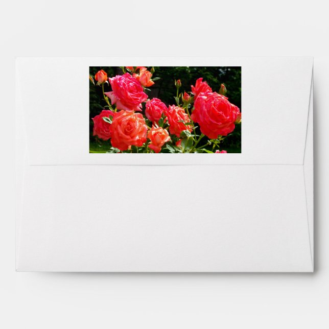 Romantic Coral roses Envelopes (Back (Top Flap))