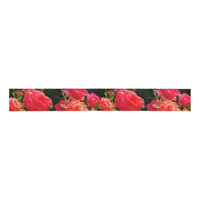 Romantic Coral Roses Grosgrain Ribbon (Front)
