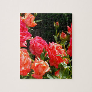 Romantic Coral Roses Jigsaw Puzzle