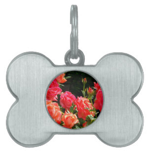 Romantic Coral Roses Pet Tag