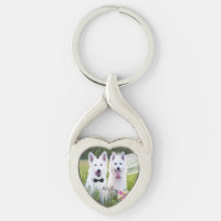 Romantic couple of dogs geting married