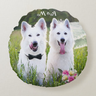 Romantic couple of dogs geting married round cushion