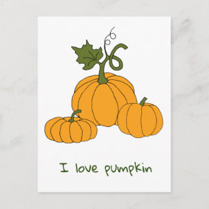 Romantic Cute orange pumpkin harvest     Postcard