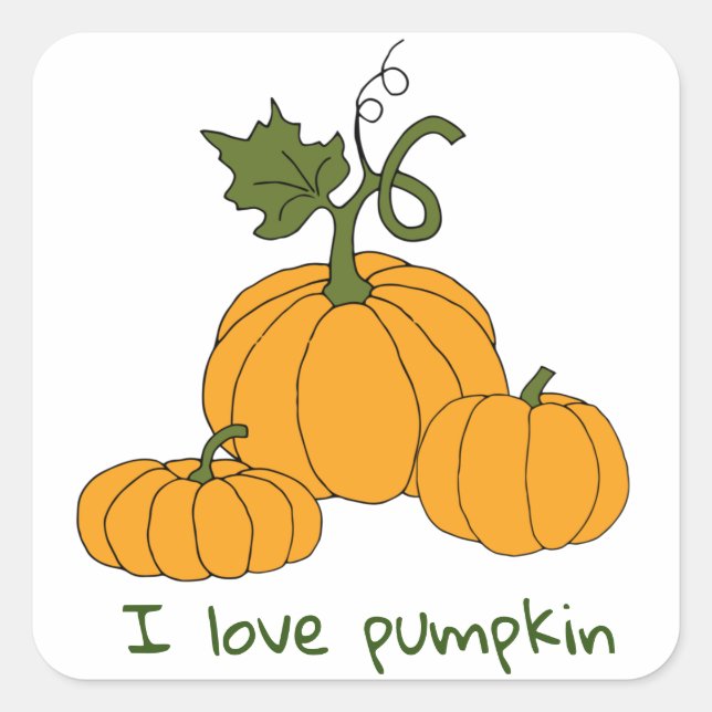 Romantic Cute orange pumpkin harvest     Square Sticker (Front)