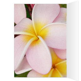 romantic date blossoms rsvp colourful chic