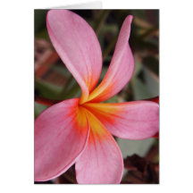 romantic date blossoms rsvp colourful chic