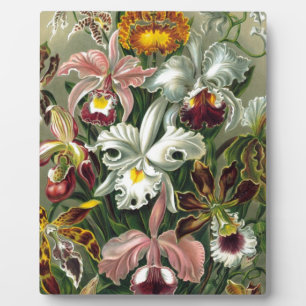 romantic date blossoms rsvp colourful chic plaque