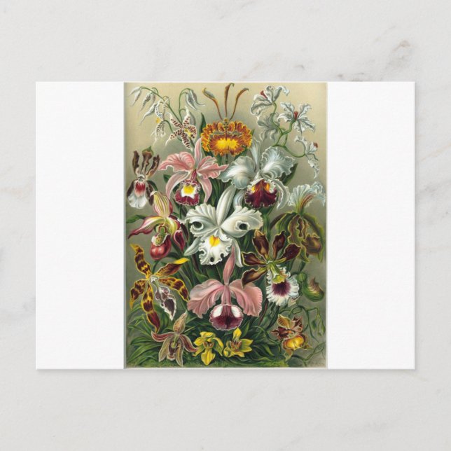 romantic date blossoms rsvp colourful chic postcard (Front)