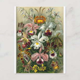 romantic date blossoms rsvp colourful chic postcard