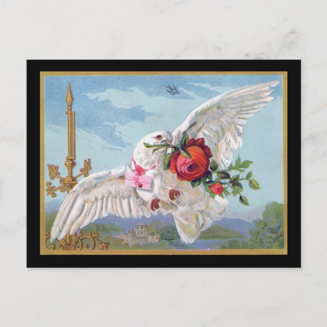 Romantic Dove Postcard (Front)