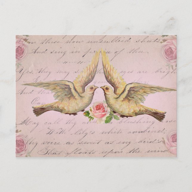 Romantic Doves in Love Vintage Collage Postcard (Front)