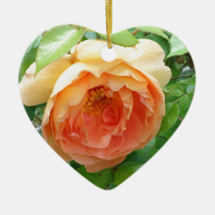 Romantic elegant  Orange Rose photo Ceramic Tree Decoration