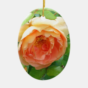 Romantic elegant  Orange Rose photo Ceramic Tree Decoration