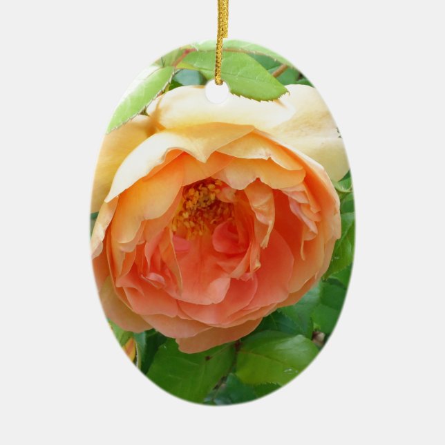 Romantic elegant  Orange Rose photo Ceramic Tree Decoration (Front)