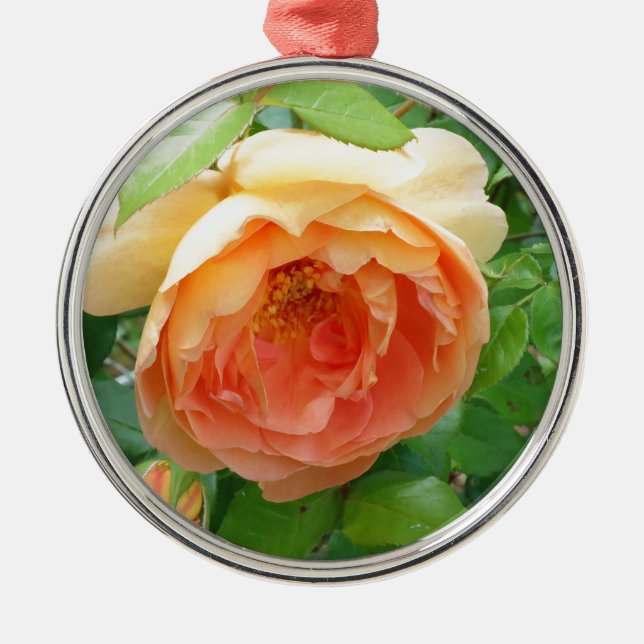 Romantic elegant  Orange Roses Metal Tree Decoration (Front)