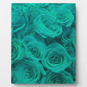 Romantic elegant teal - green roses plaque